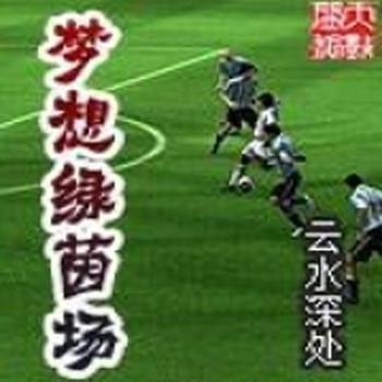 梦想绿茵场