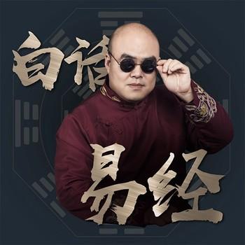 鲁智深白话易经：实用指南