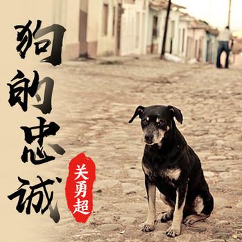 关勇超：狗的忠诚