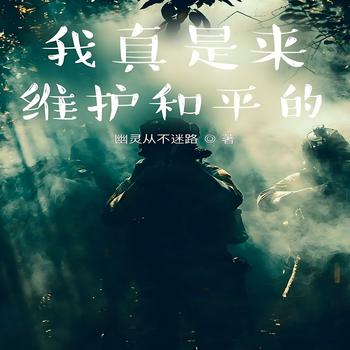 我真是来维护和平的