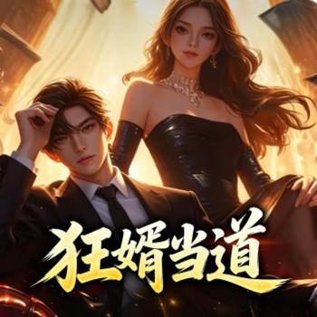 狂婿当道