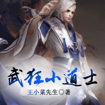 武狂小道士