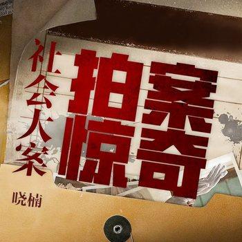 社会大案拍案惊奇(多人剧)