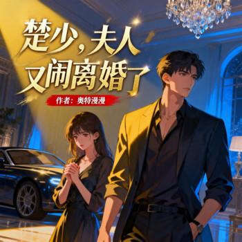 楚少，夫人又闹离婚了