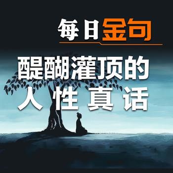 每日金句