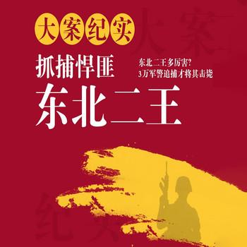大案纪实：抓捕悍匪东北二王