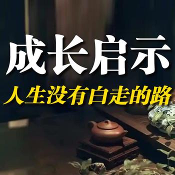 成长启示：人生没有白走的路