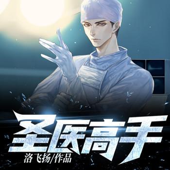 圣医高手