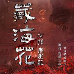 藏海花
