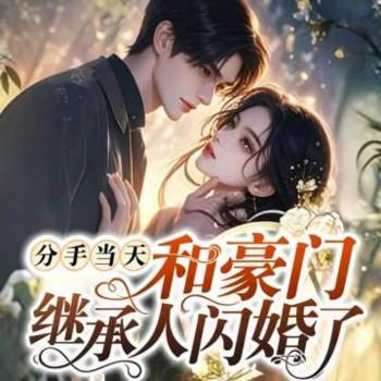 分手当天，和豪门继承人闪婚了