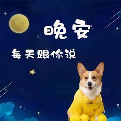 每天跟你说晚安