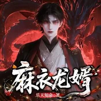 麻衣龙婿