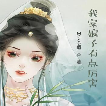 我家娘子有点厉害