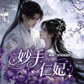 妙手仁妃