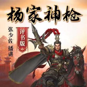 张少佐评书：杨家神枪