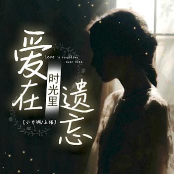 爱在时光里遗忘