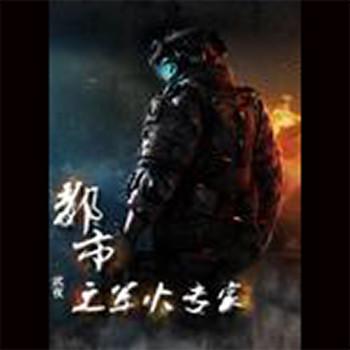都市之军火专家
