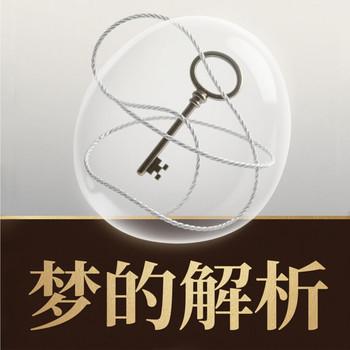 梦的解析