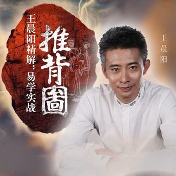 王晨阳精解：易学实战推背图(多人剧)