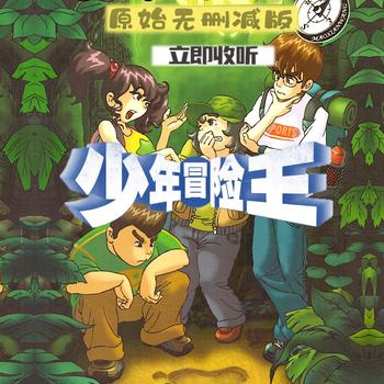 少年冒险王