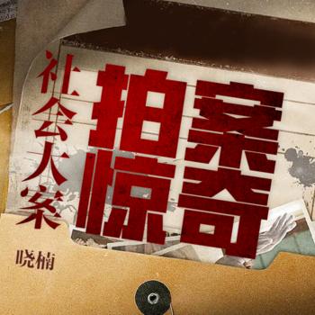 大案要案实录