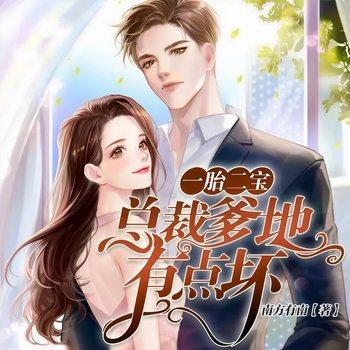 一胎二宝：总裁爹地有点坏(多人剧)