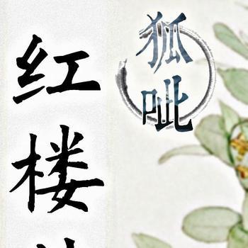 狐批红楼梦