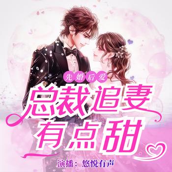 总裁追妻有点甜