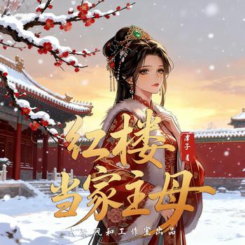 红楼当家主母(多人剧)