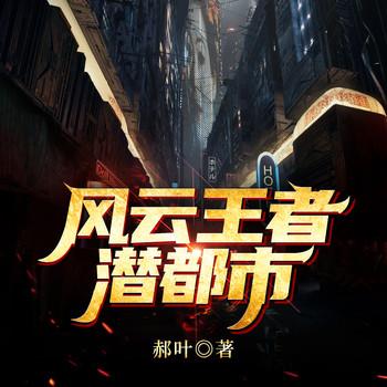 风云王者潜都市