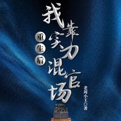 重生后，我靠实力混官场(多人剧)