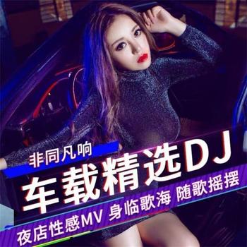 车载精选DJ