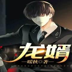 龙婿(多人剧)