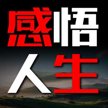 感悟人生2