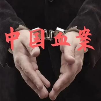 张少佐评书：中国血案