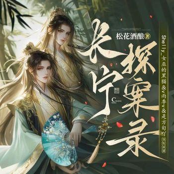 长宁探案录