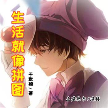 生活就像拼图