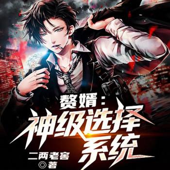 赘婿：神级选择系统