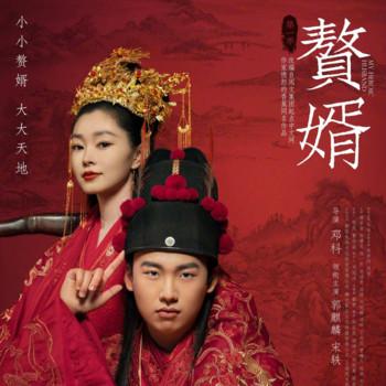 赘婿