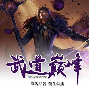 武道巅峰(多人剧)