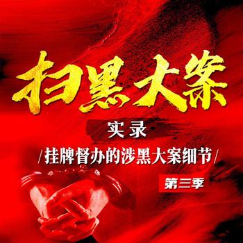 扫黑大案实录第三季(多人剧)