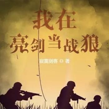 亮剑吧战狼
