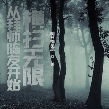 从拜师陈友开始横扫无限