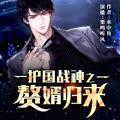 护国战神之赘婿归来